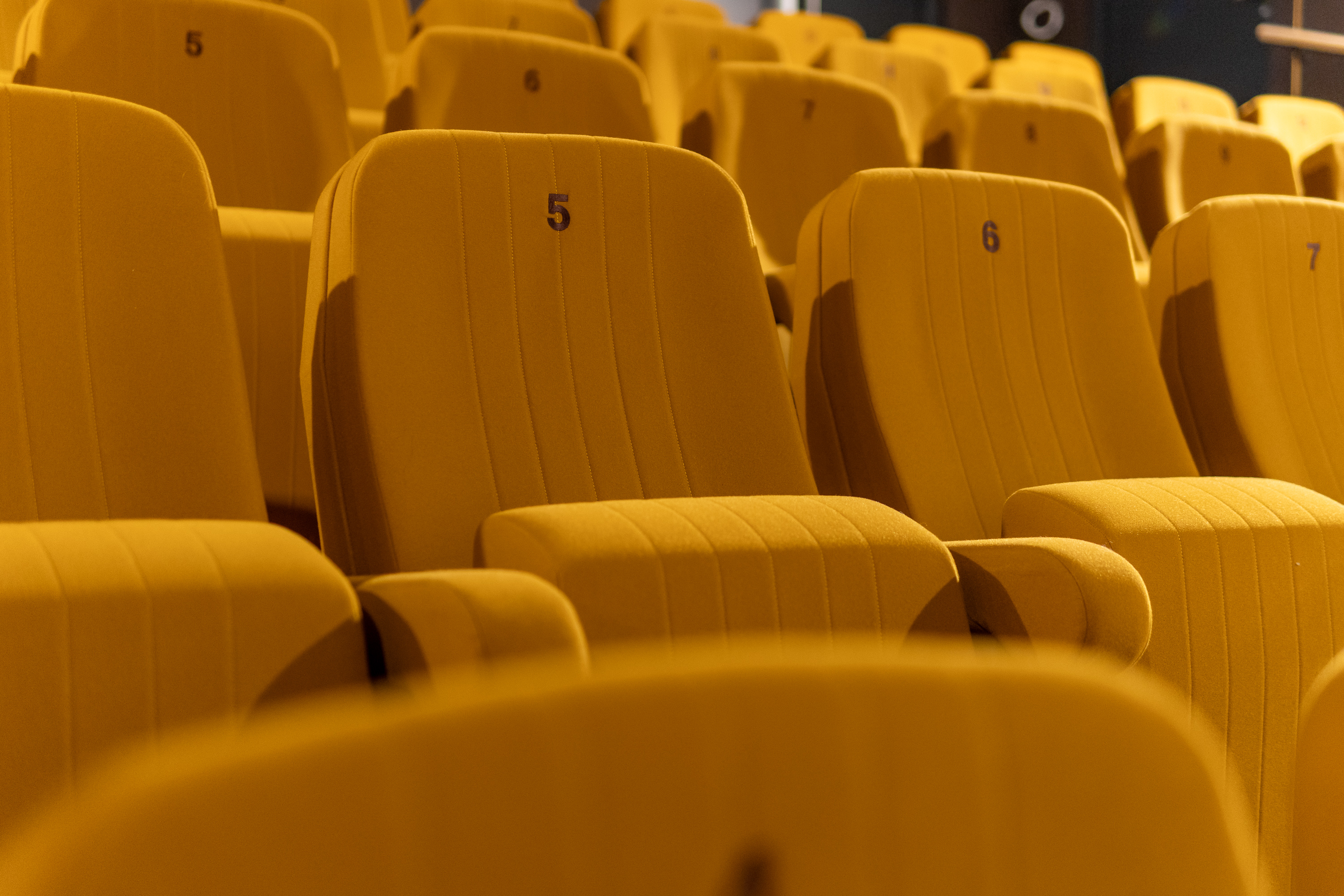 FilmTheater FilmkrantDag-024.jpg